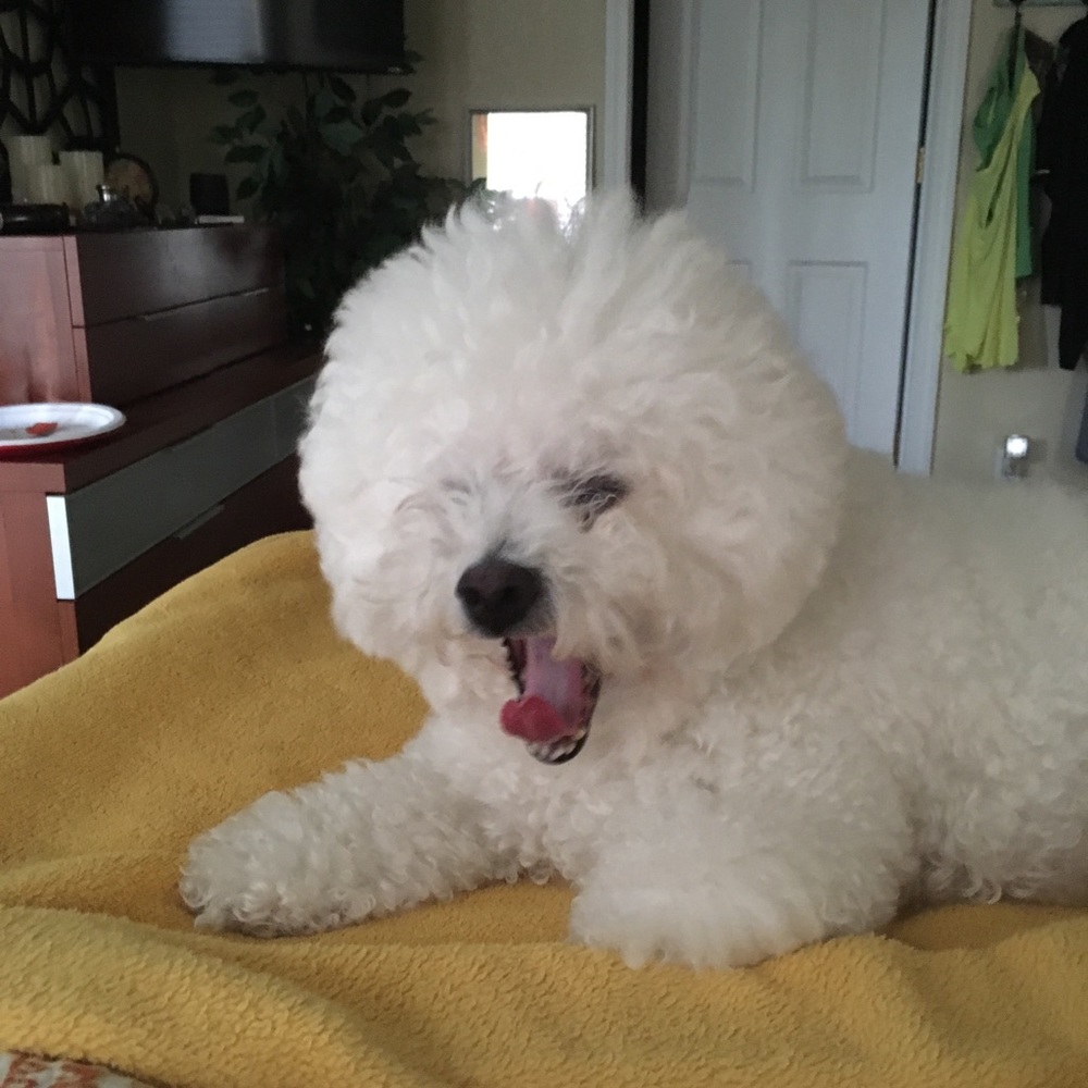 Meet your Posher, Dj